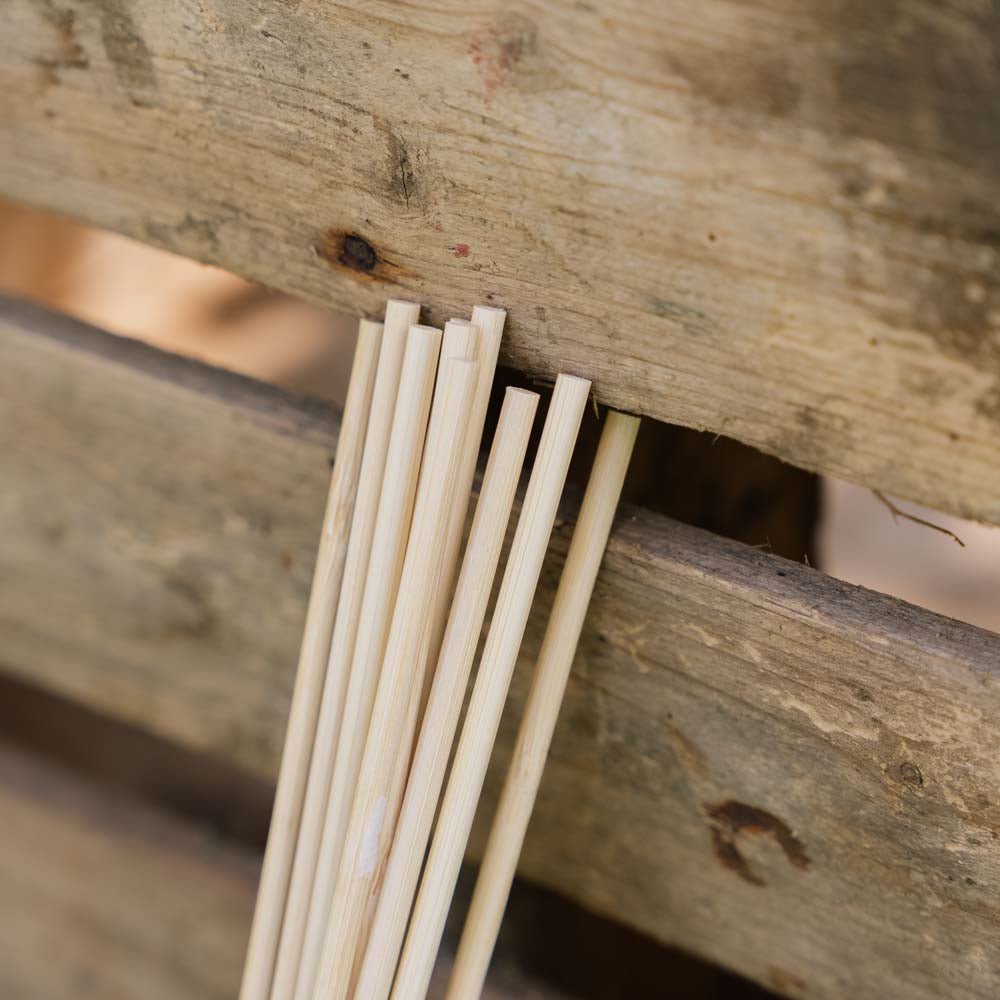 Bloemenstokken. H30 cm 10 st./bundel.