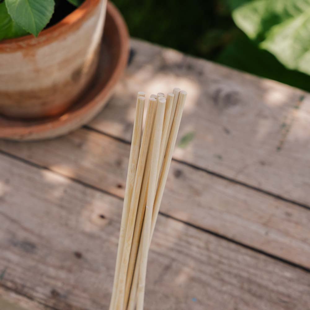 Bloemenstokken. H70 cm 10 st./bundel.