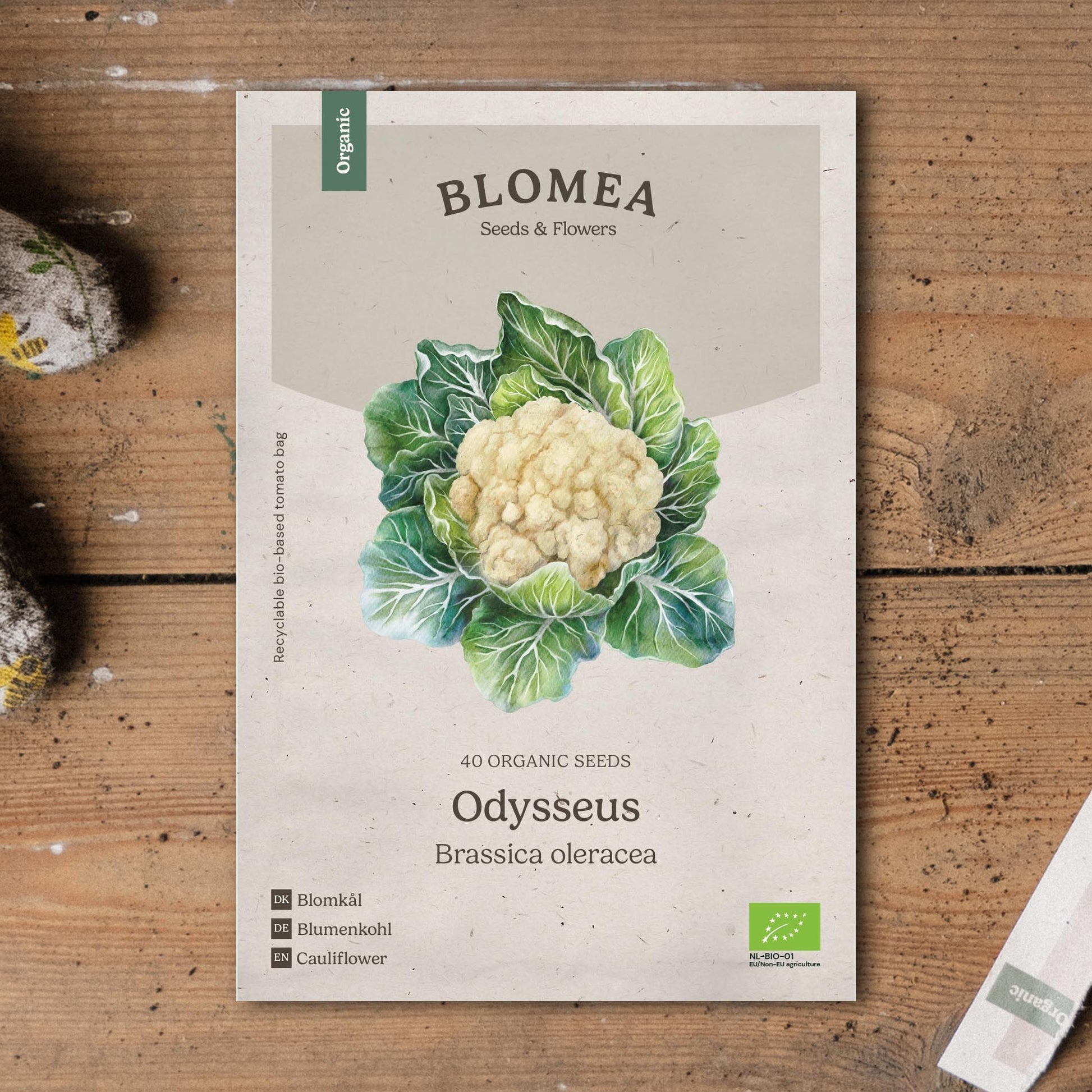 Bloemkoolzaden 'Odysseus' - 40 biologische zaden