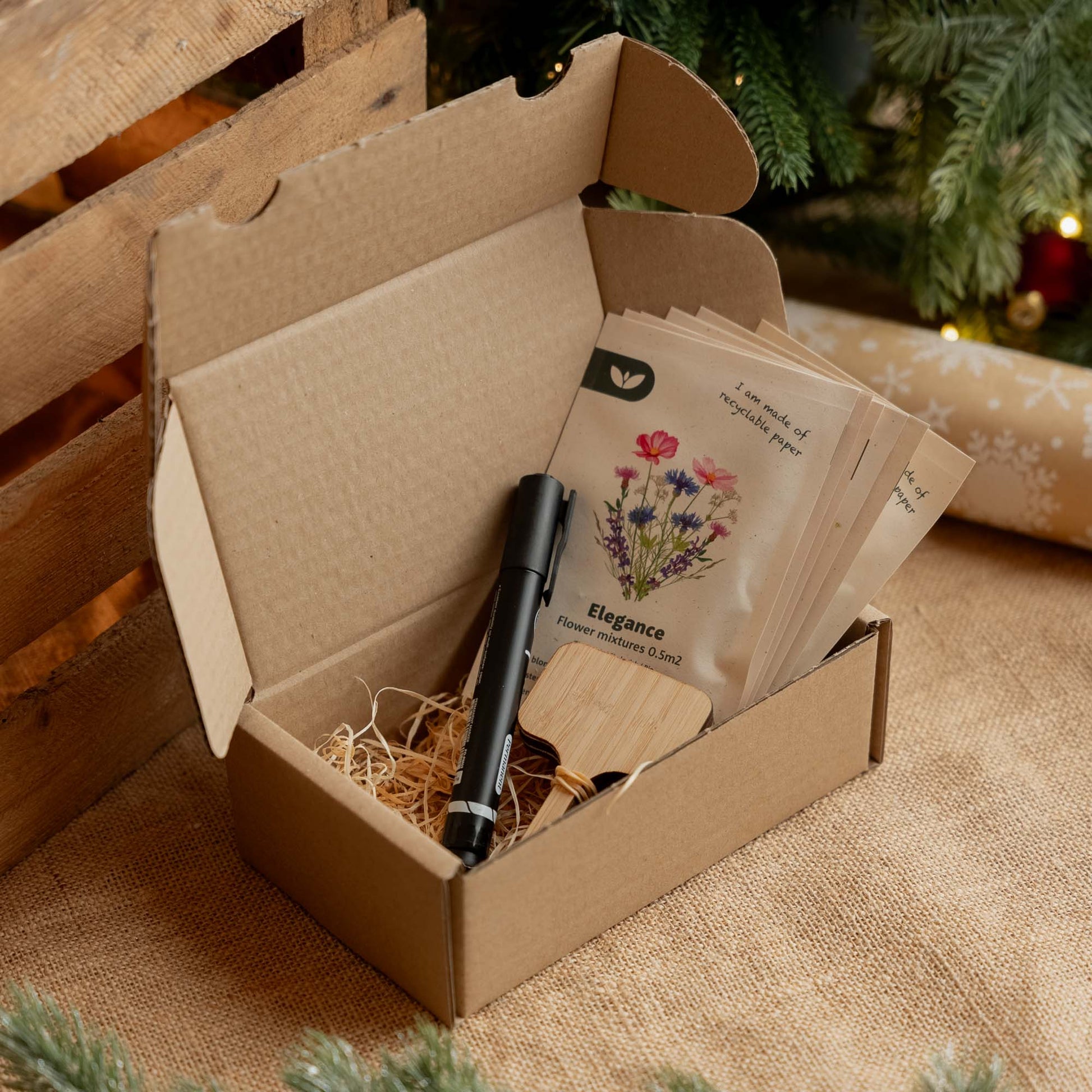 Bosbonenzaden 'Capitano' - 50 biologische zaden