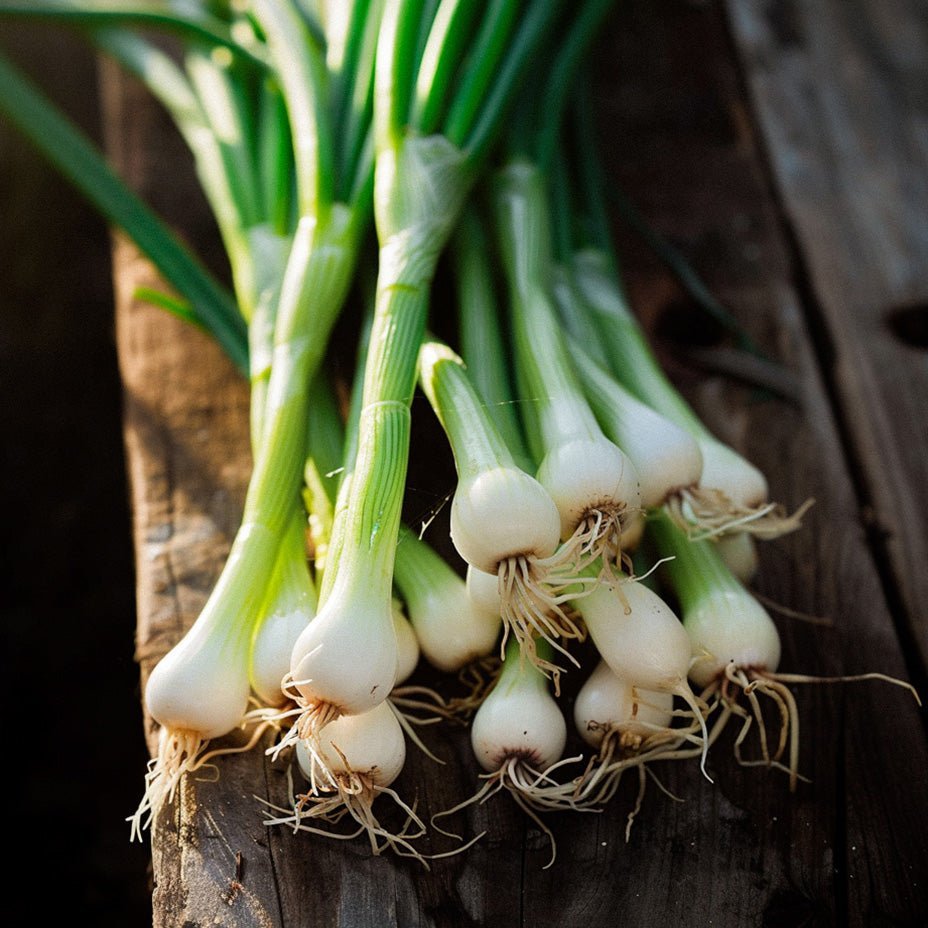 Bosui zaden 'White Lisbon' - 100 biologische zaden