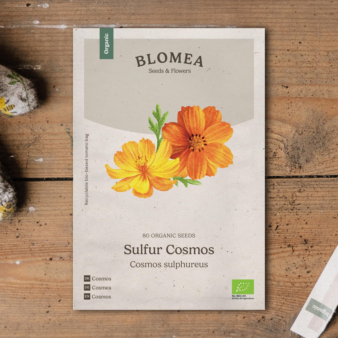 Cosmoszaden 'Sulfur Cosmos' - 80 biologische zaden