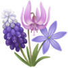 Voorjaarsbloemen