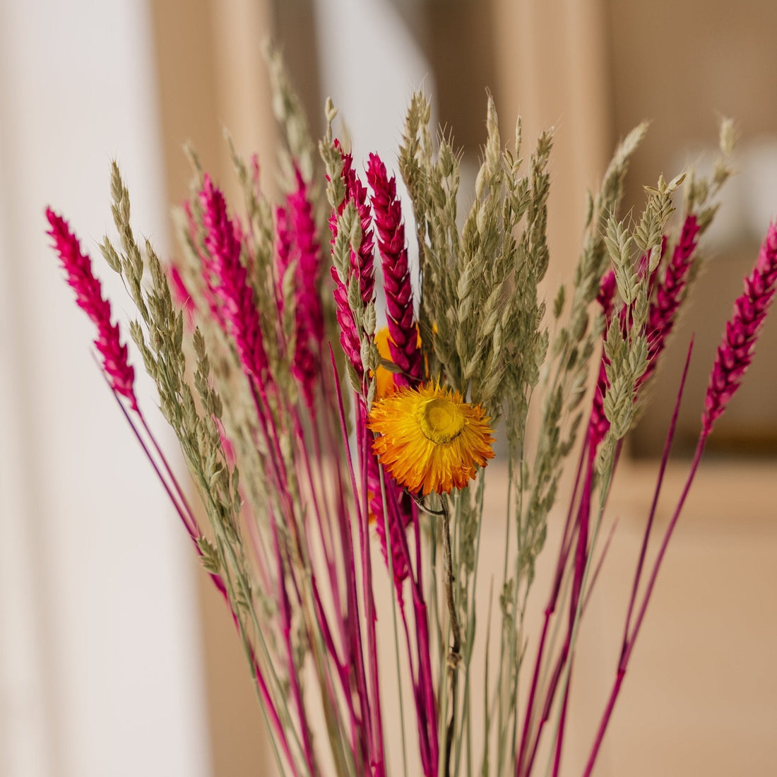 Eeuwigheidsboeket, Kleuren, H: 55 cm