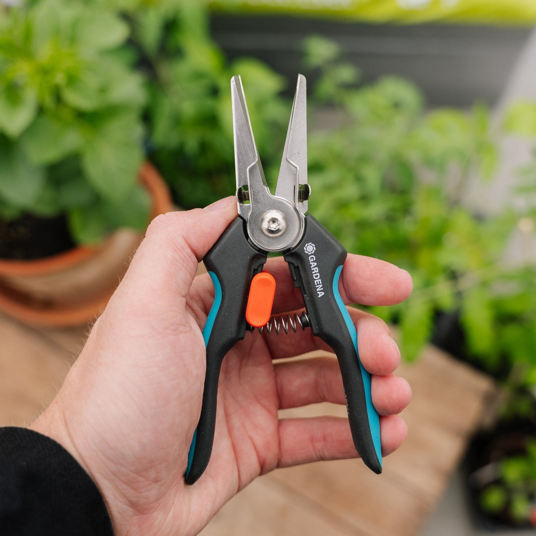 GripCut kruidenschaar met grijpfunctie