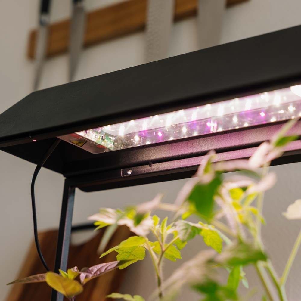 Groeilicht, zwart, L: 17,5 cm B: 42,4 cm H: 36,5 cm