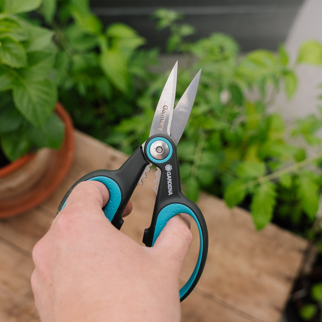 HerbCut kruidenschaar