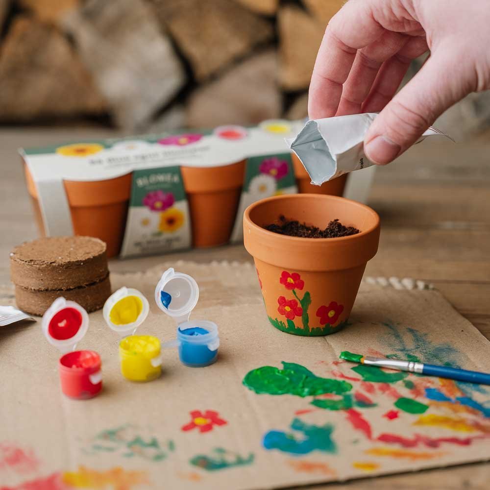 Het creatieve bloemenpakket