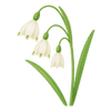 Voorjaarsbloemen