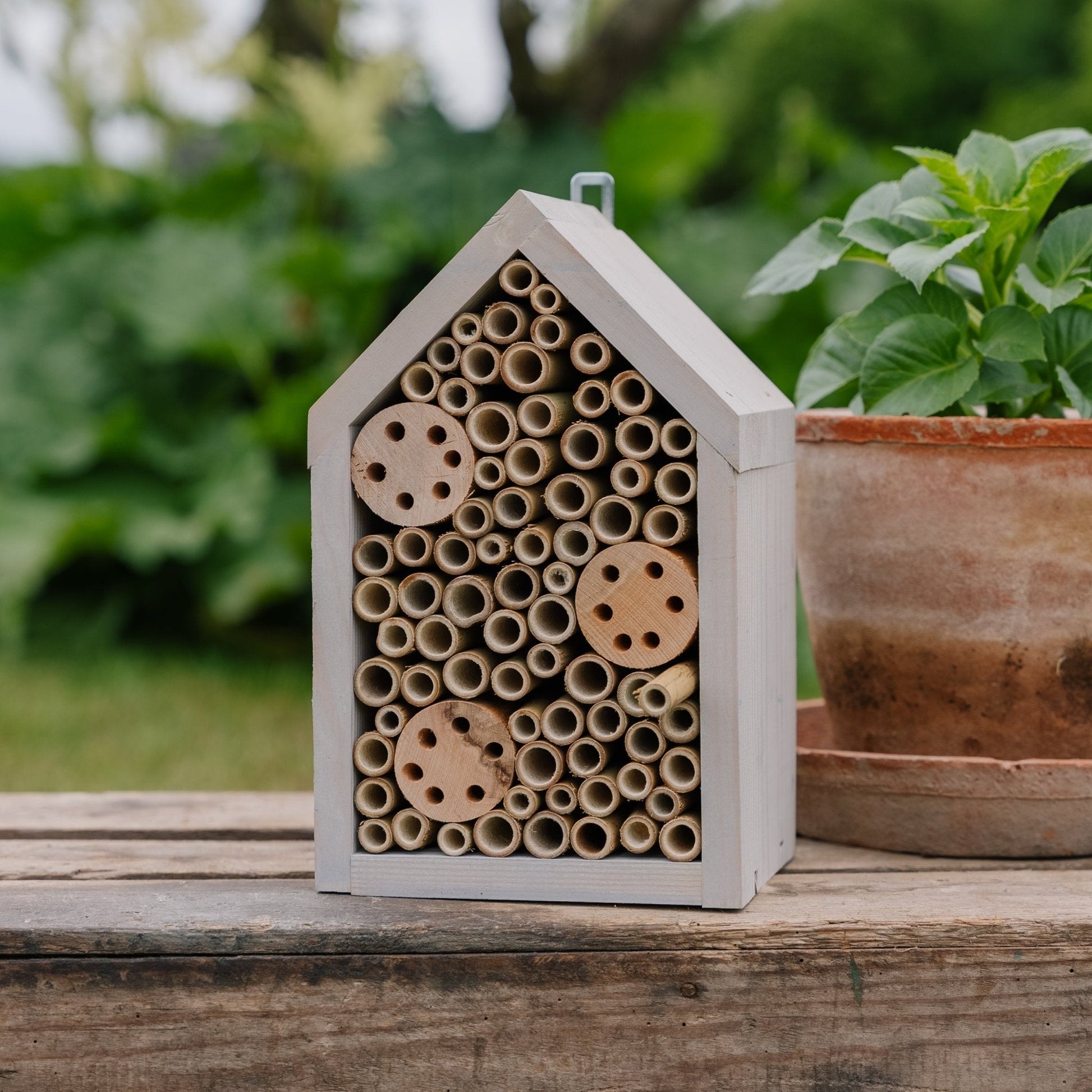 Insectenhotel, Pijnboomhout, L: 14 cm B: 17 cm H: 28 cm