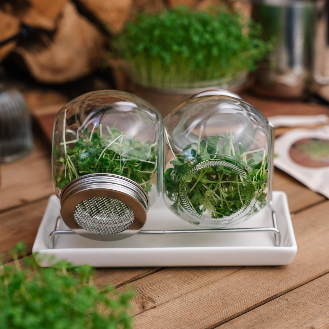 Kiemglas met druppelschaal