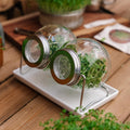 Kiemglas met druppelschaal