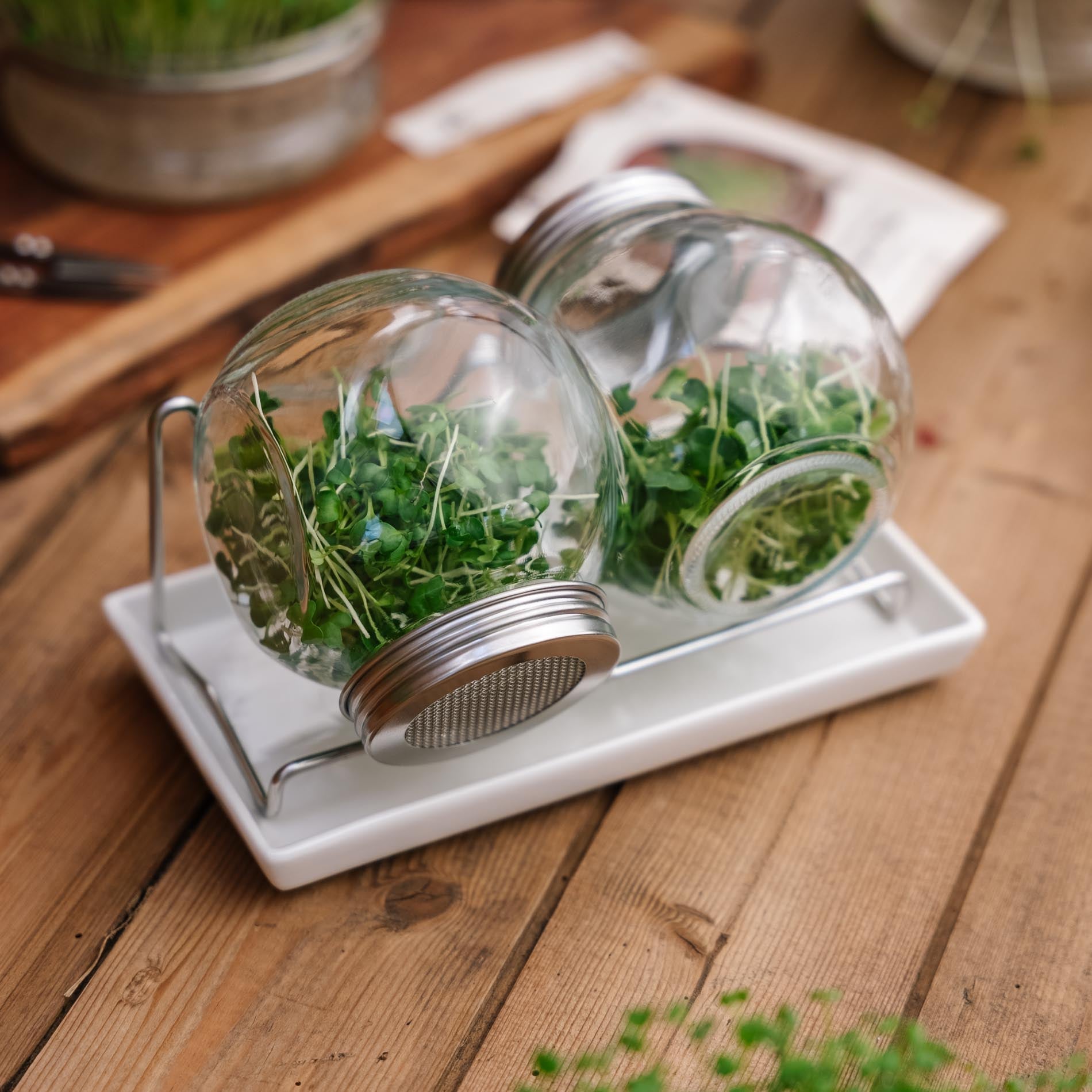 Kiemglas met druppelschaal