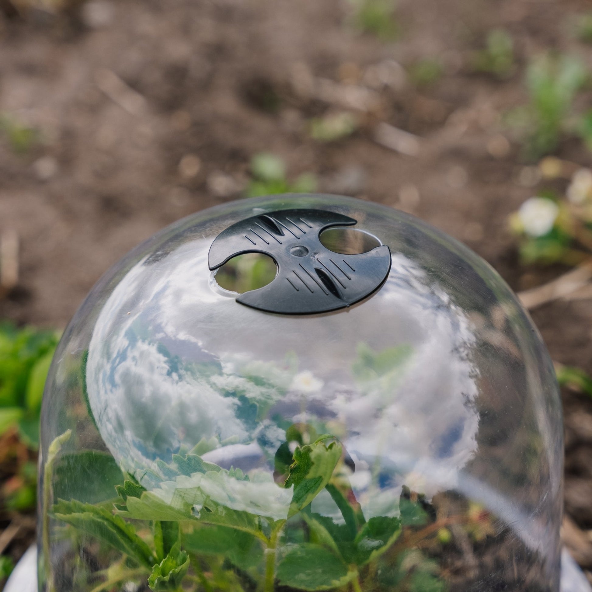 Klokkeluider, 3 stuks.