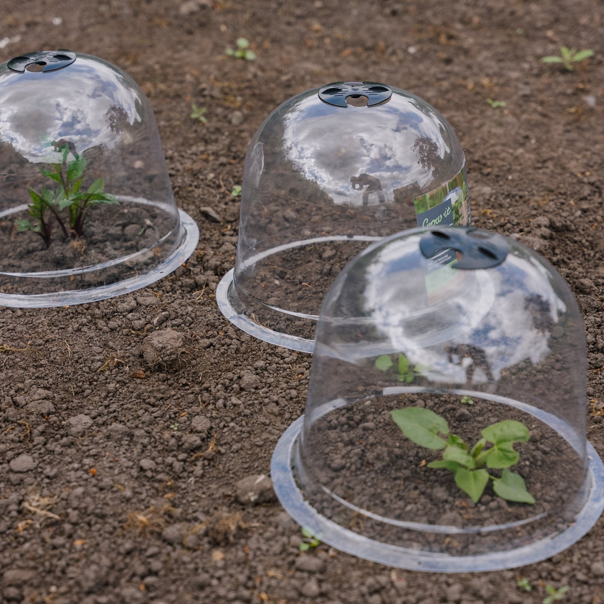 Klokkeluider, 3 stuks.