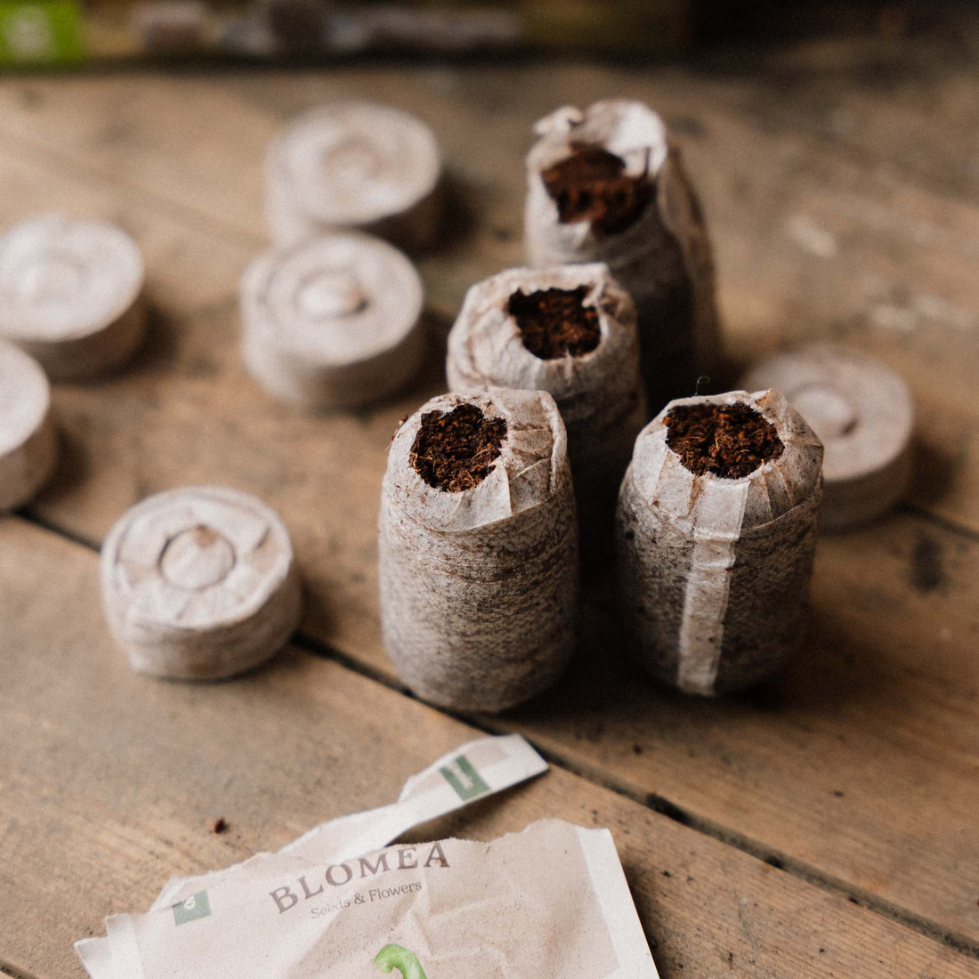 Kokosbriketten 35 mm - 50 stuks.