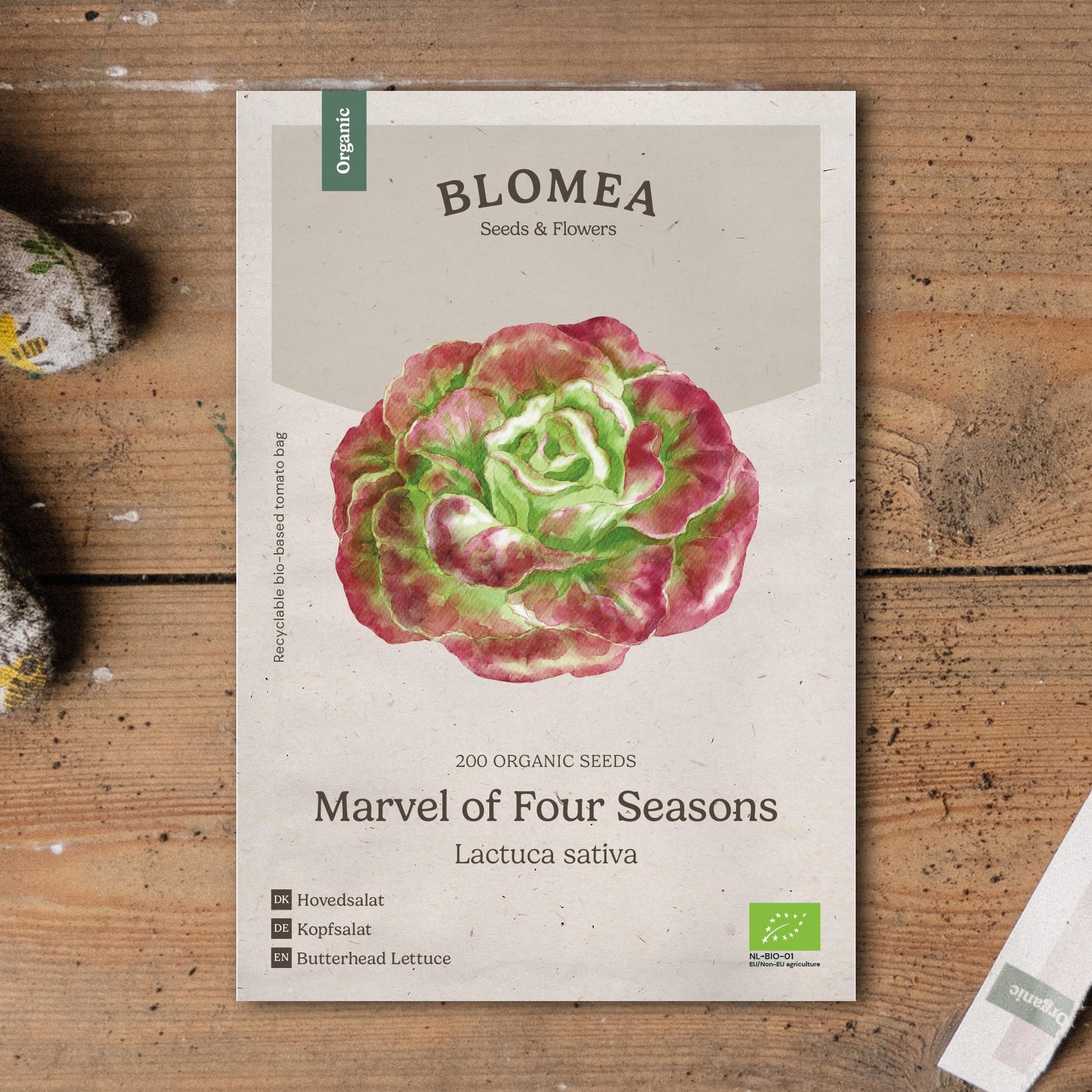 Kropsla zaden 'Marvel of Four Seasons' - 200 biologische zaden