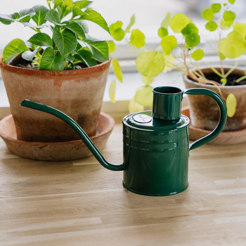 Metalen gieter voor binnen, 1 L, bosgroen