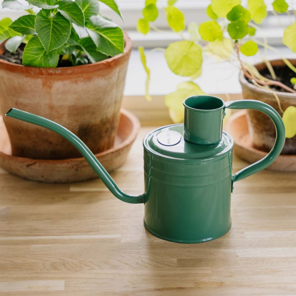 Metalen gieter voor binnen, 1 L, saliegroen