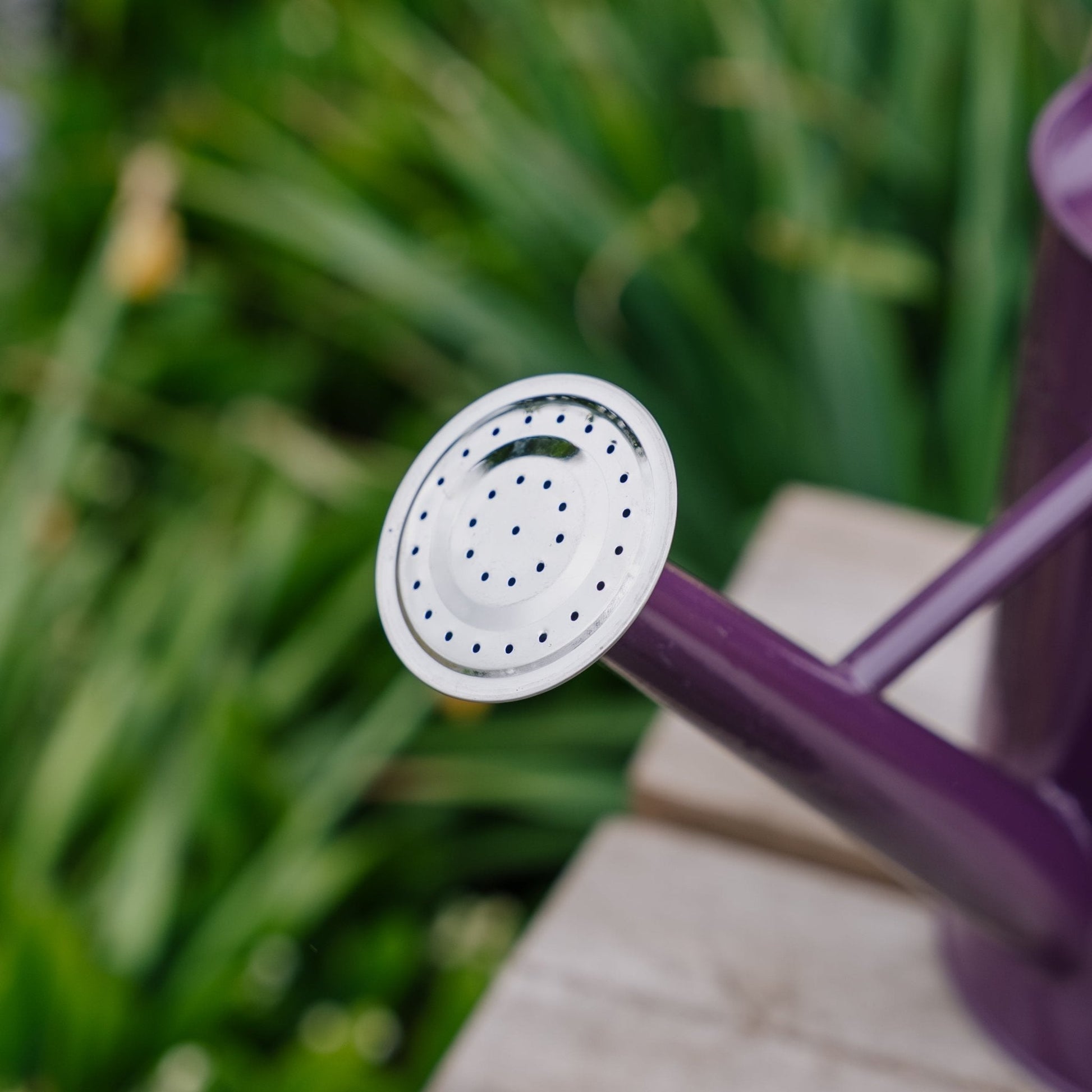 Metalvatenkan, 4,5 L, diep violet