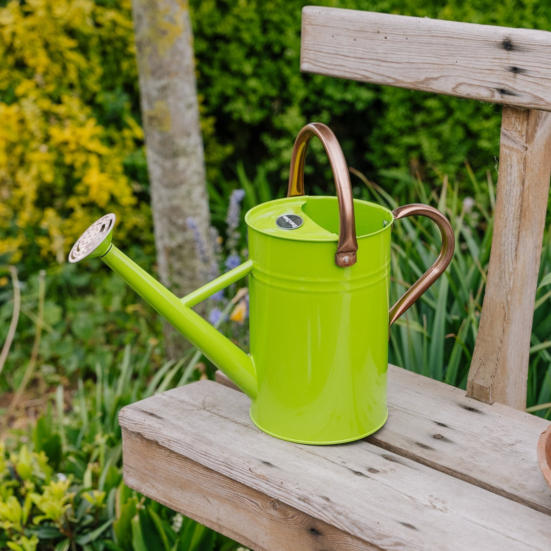 Metalwaterkan, 4,5 L, fris groen