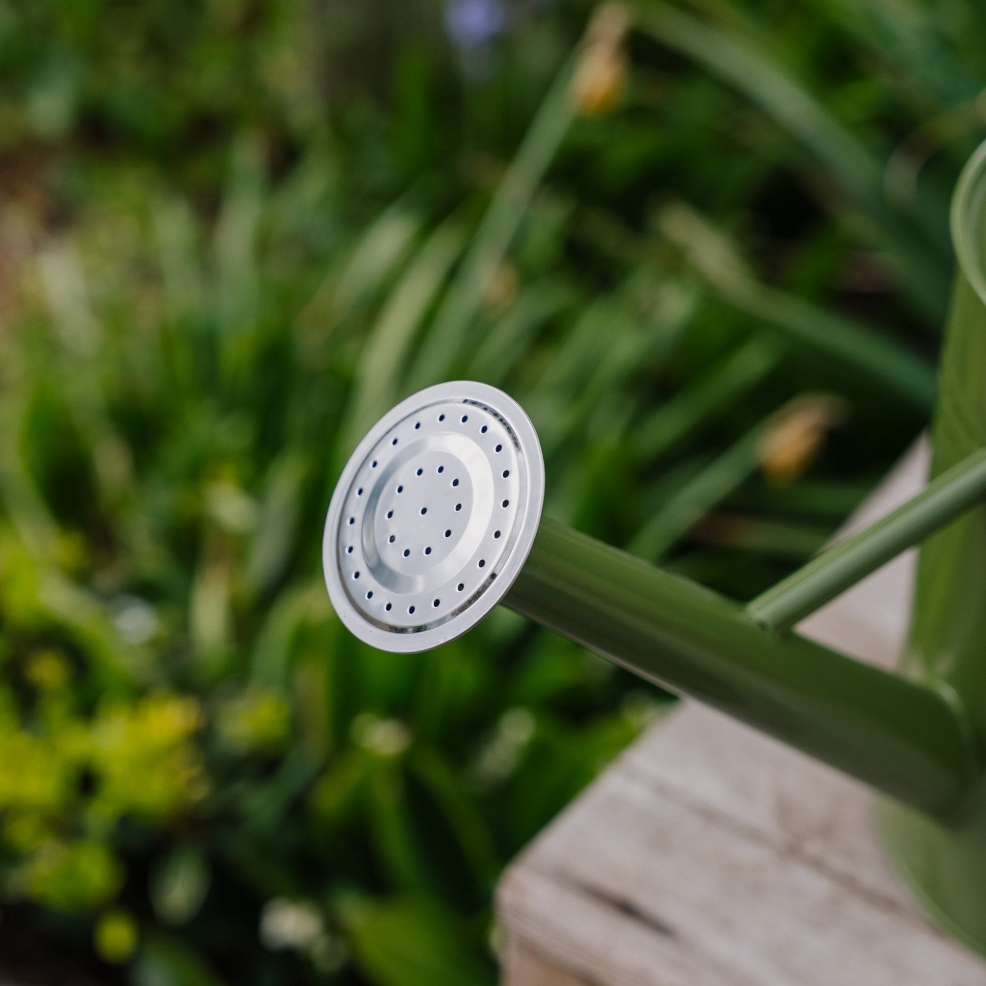 Metalwaterkan, 4,5 L, mosgroen