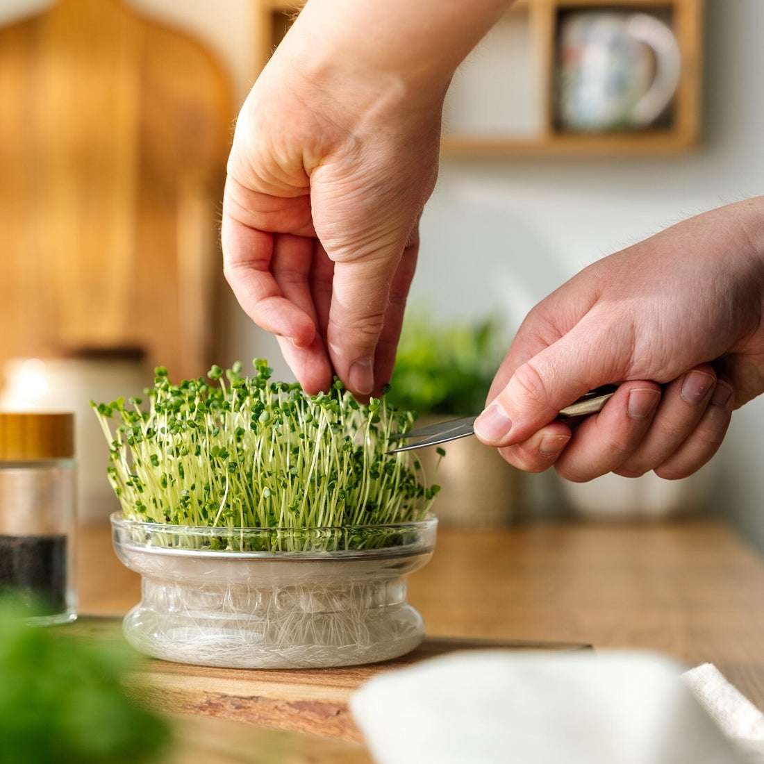 Microgroente schaar
