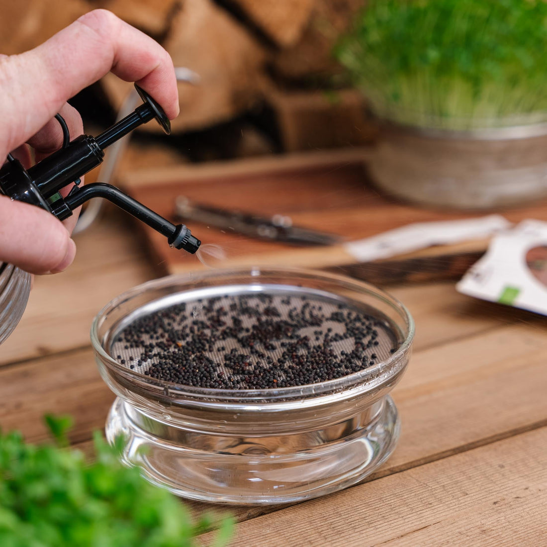 Microgroenten verstuiver