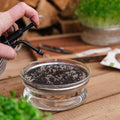 Microgroenten verstuiver