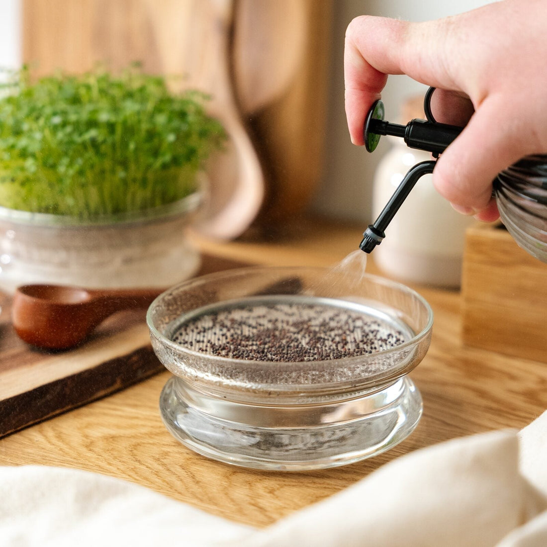 Microgroenten verstuiver