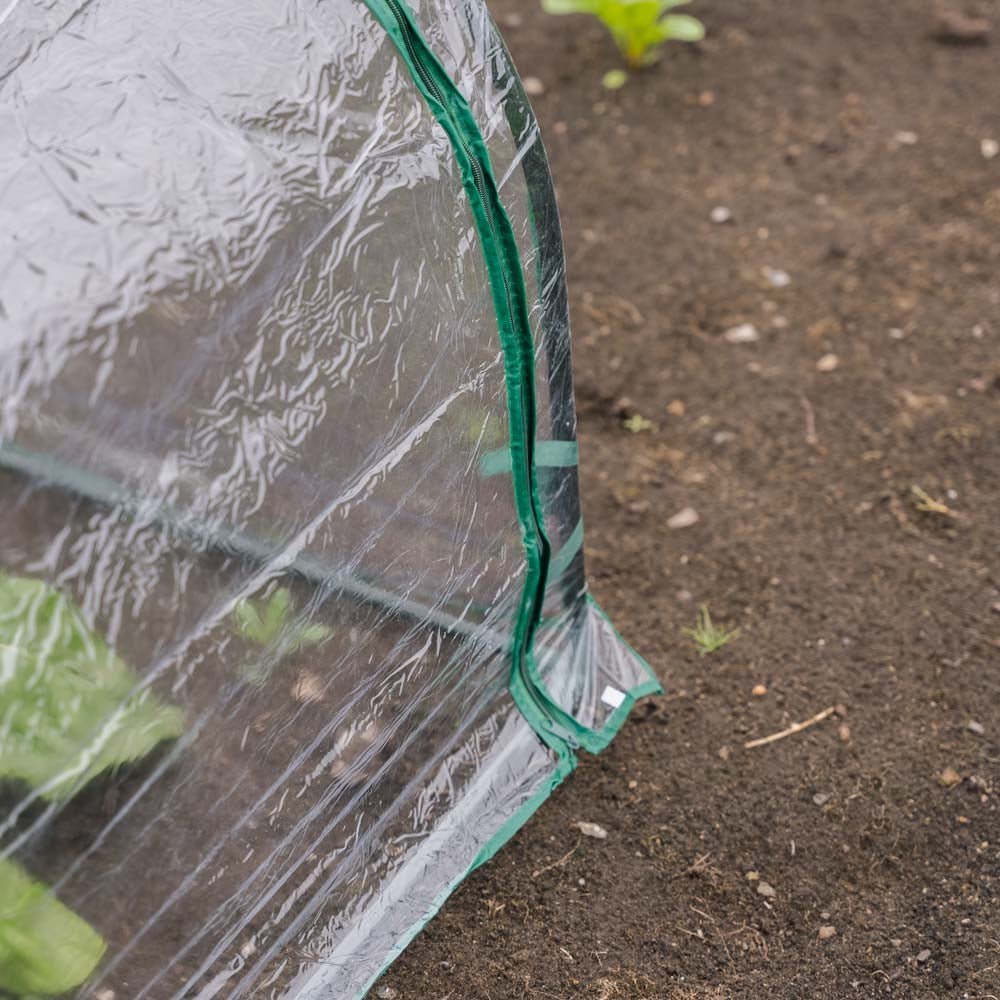 Middelgrote kikkerkoepel, L: 92 cm B: 90 cm H: 72 cm