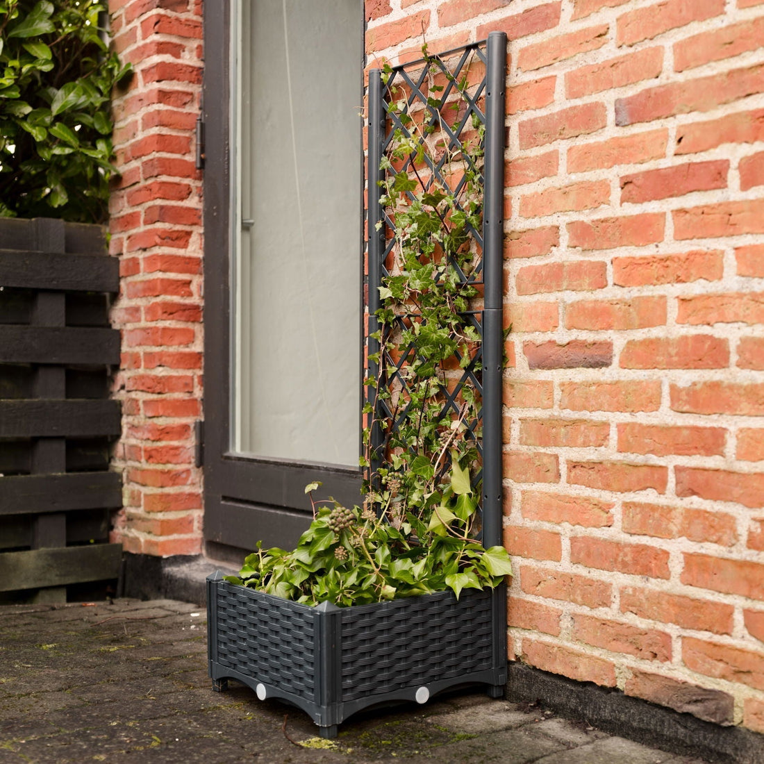 Plantenbak met trellis