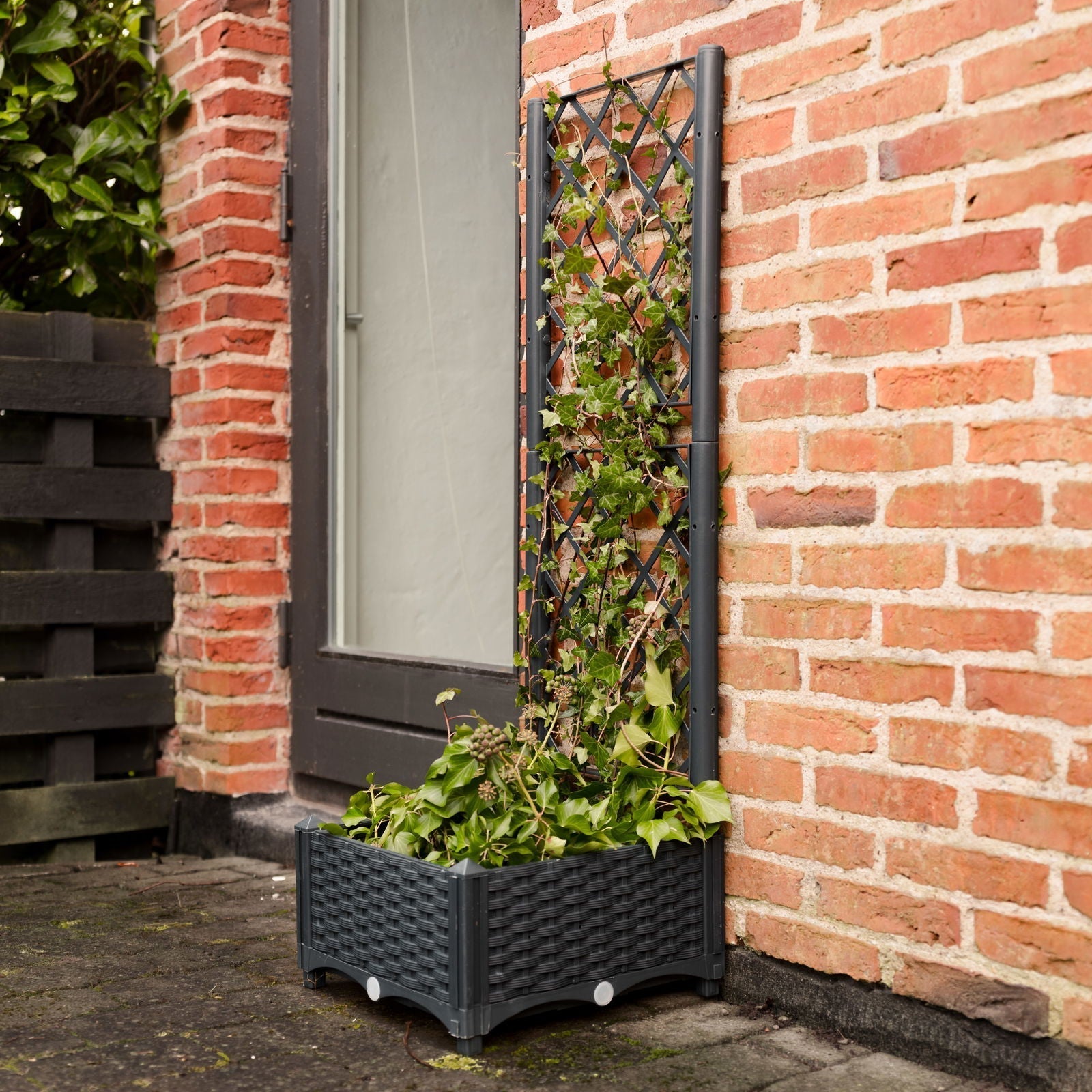 Plantenbak met trellis