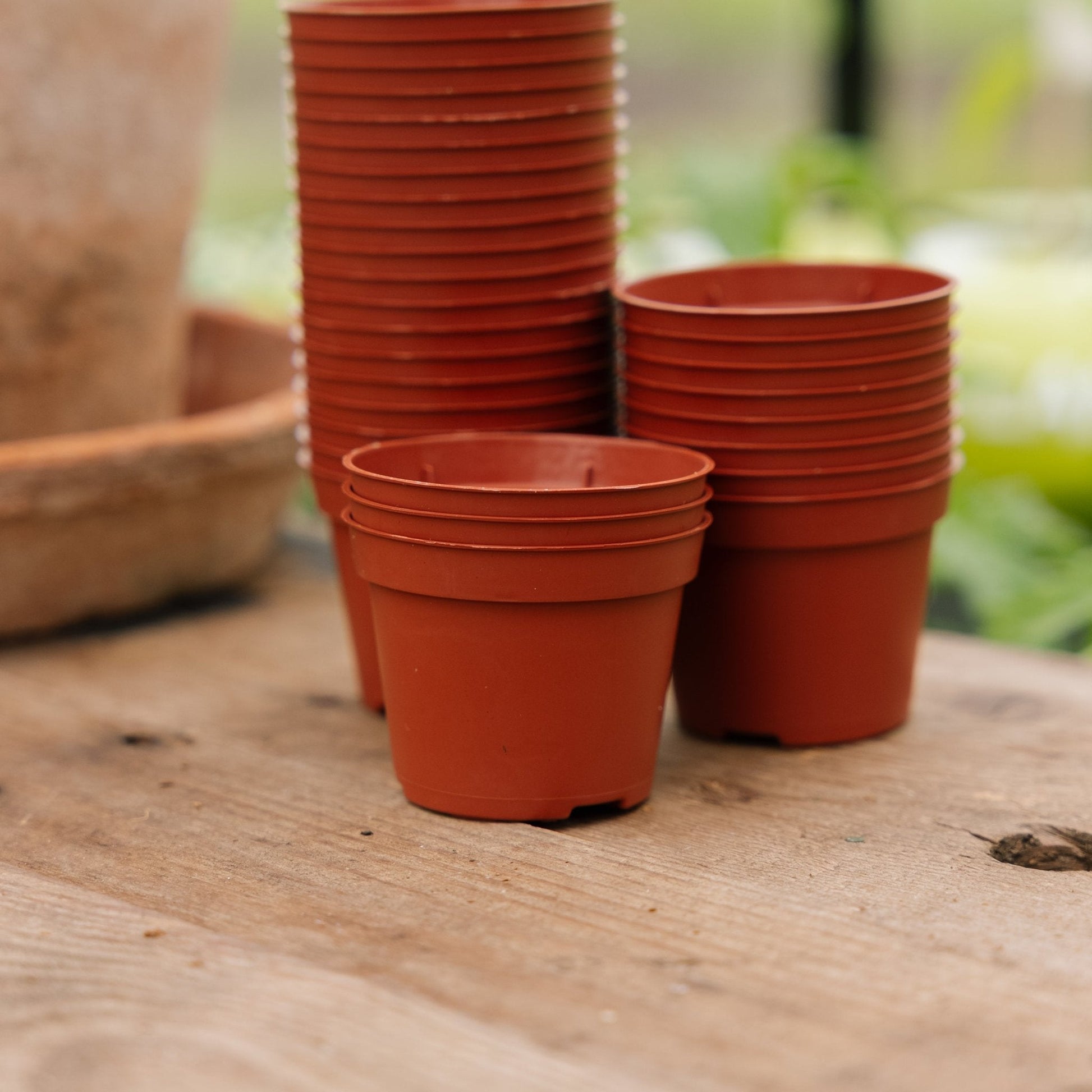 Plantenpotten 6 cm, 30 stuks.