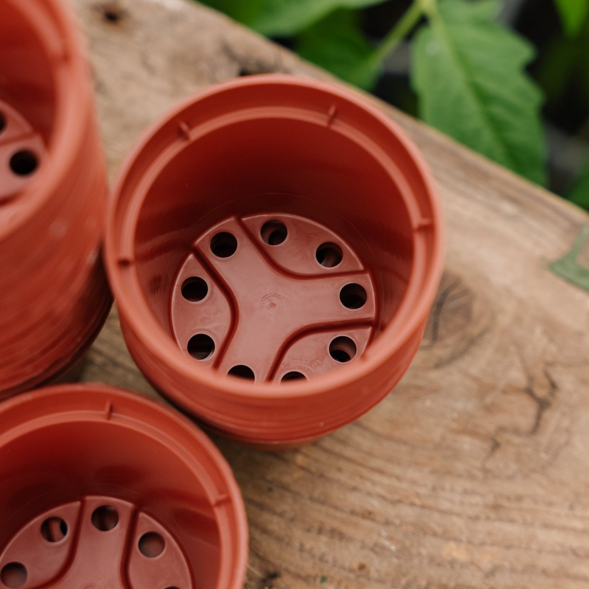 Plantenpotten 6 cm, 30 stuks.