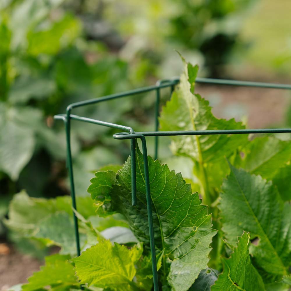 Plantsteun, 4 stuks, H: 45cm x B: 17cm