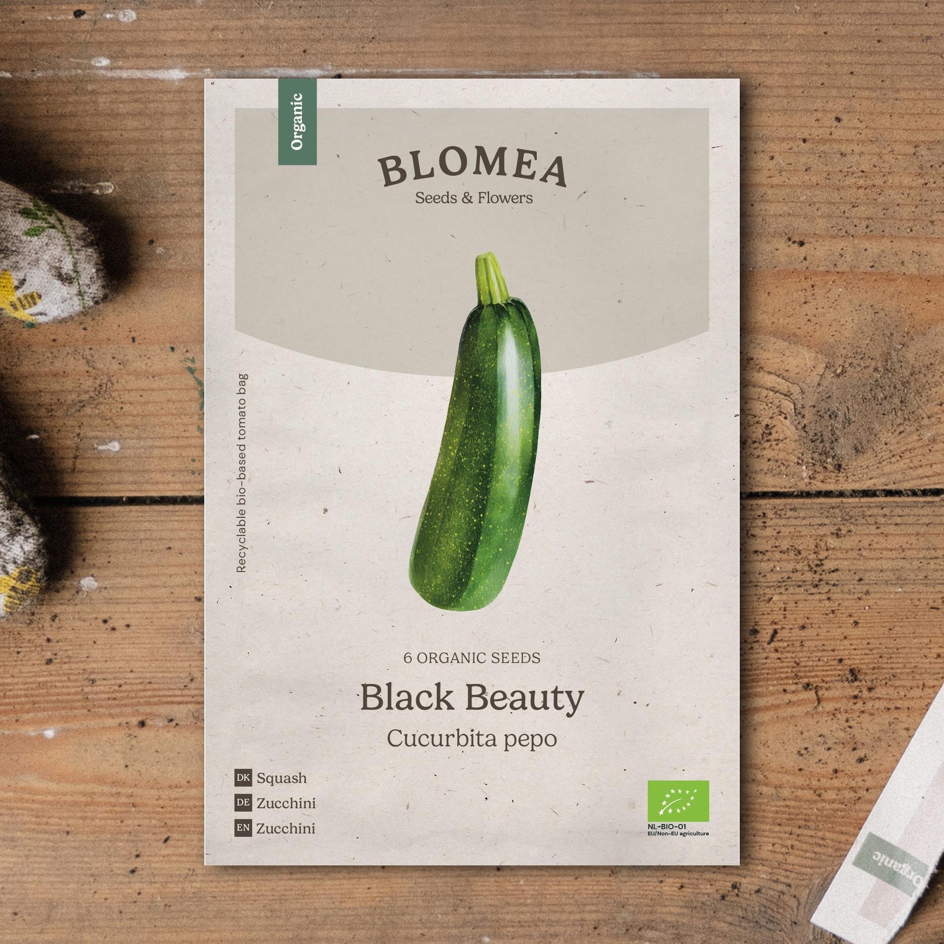 Pompoenzaden 'Black Beauty' - 6 biologische zaden