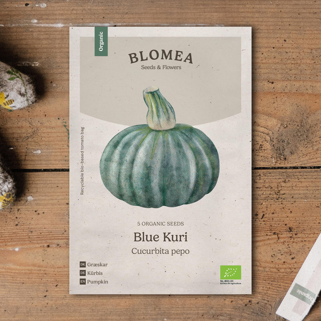 Pompoenzaden 'Blue Kuri' - 5 biologische zaden