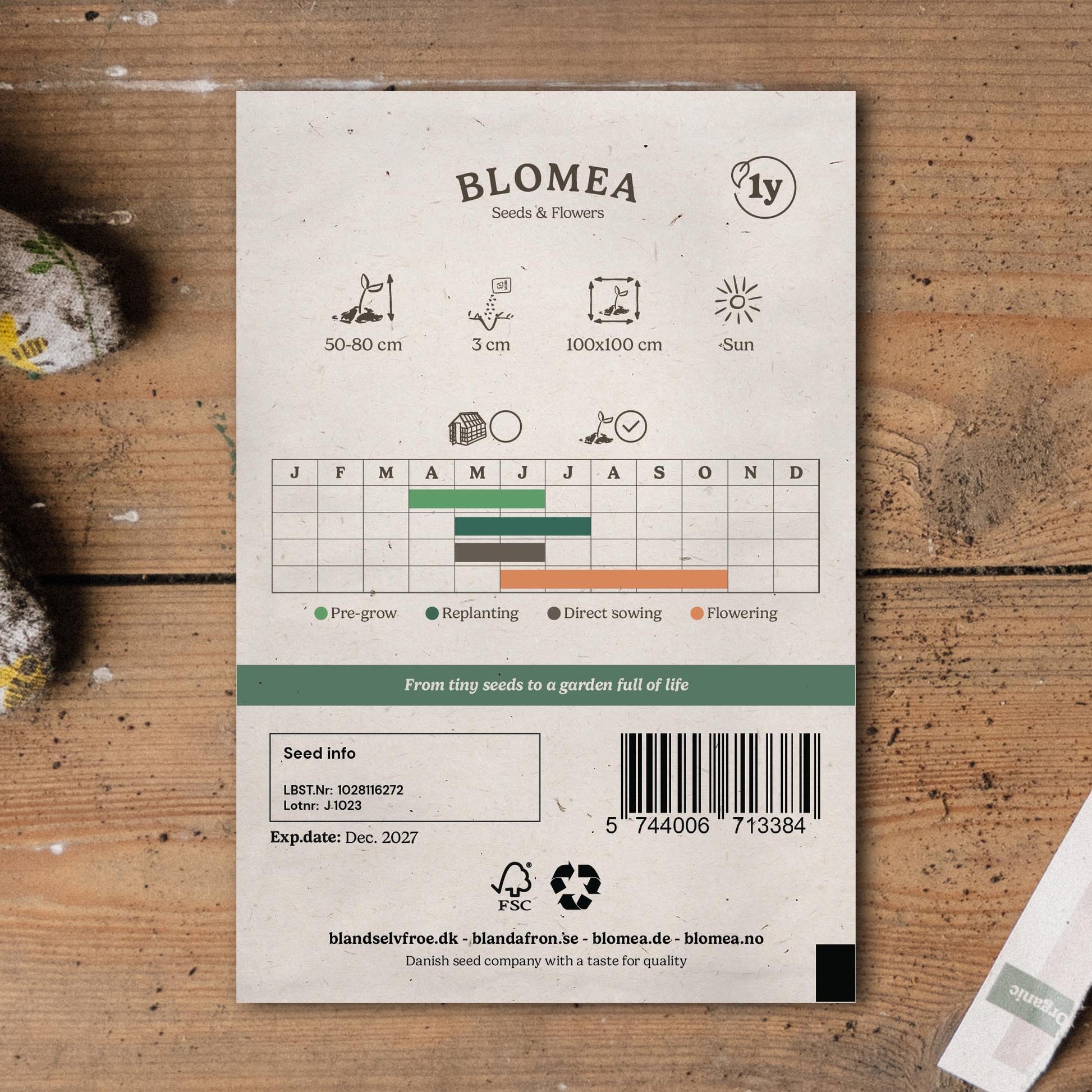 Pompoenzaden 'Cocozelle von Tripolis' - 10 biologische zaden