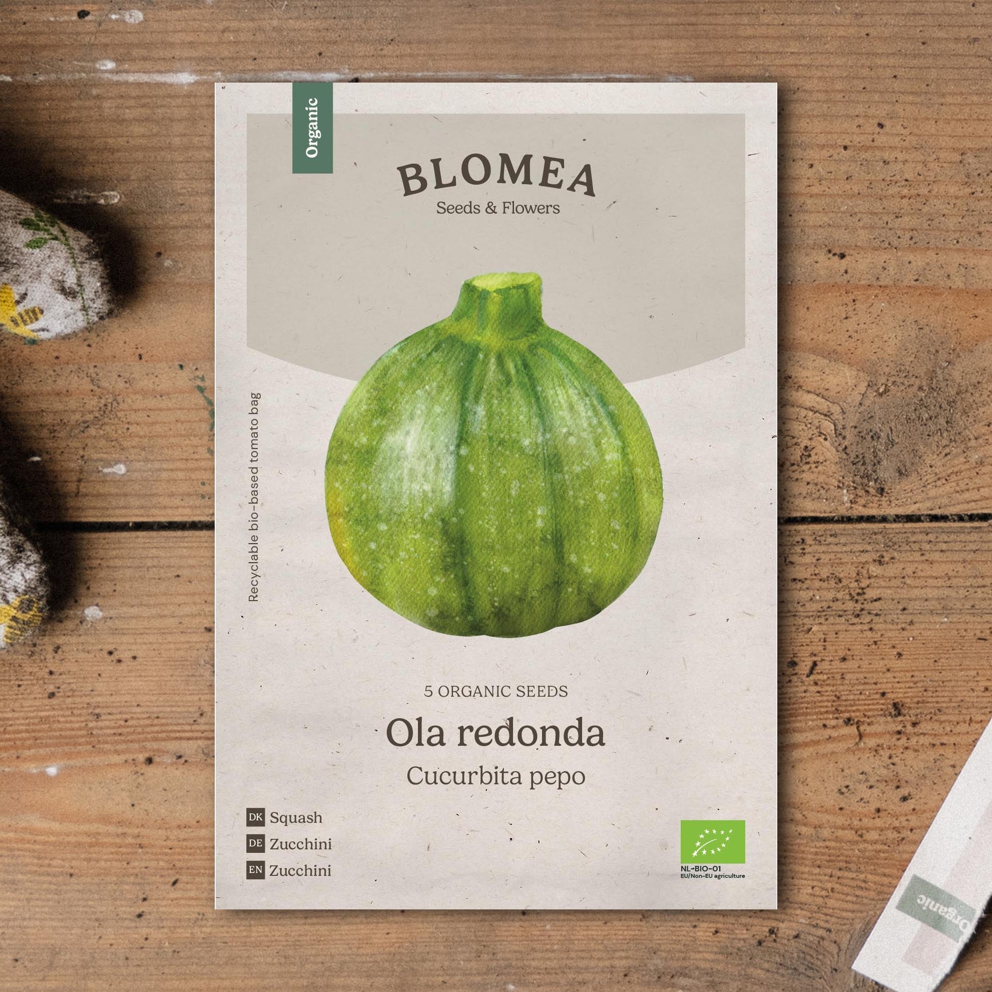 Pompoenzaden 'Ola redonda' - 5 biologische zaden