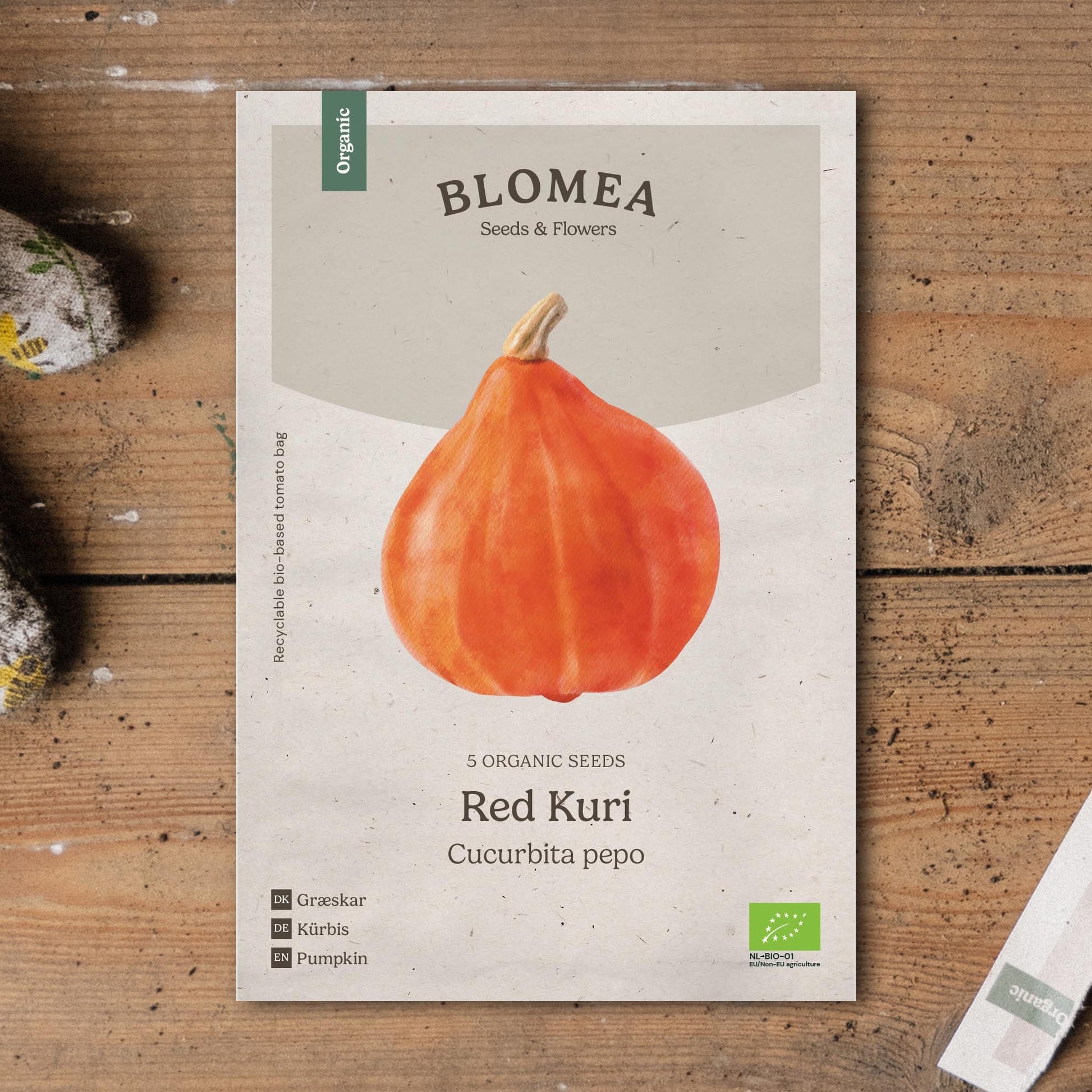 Pompoenzaden 'Red Kuri' - 5 biologische zaden