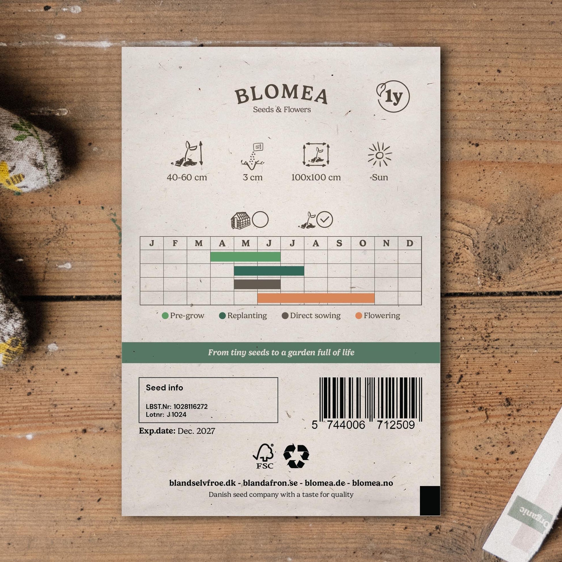 Pompoenzaden 'Solara' - 10 biologische zaden