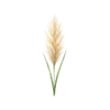 Bloemzaden