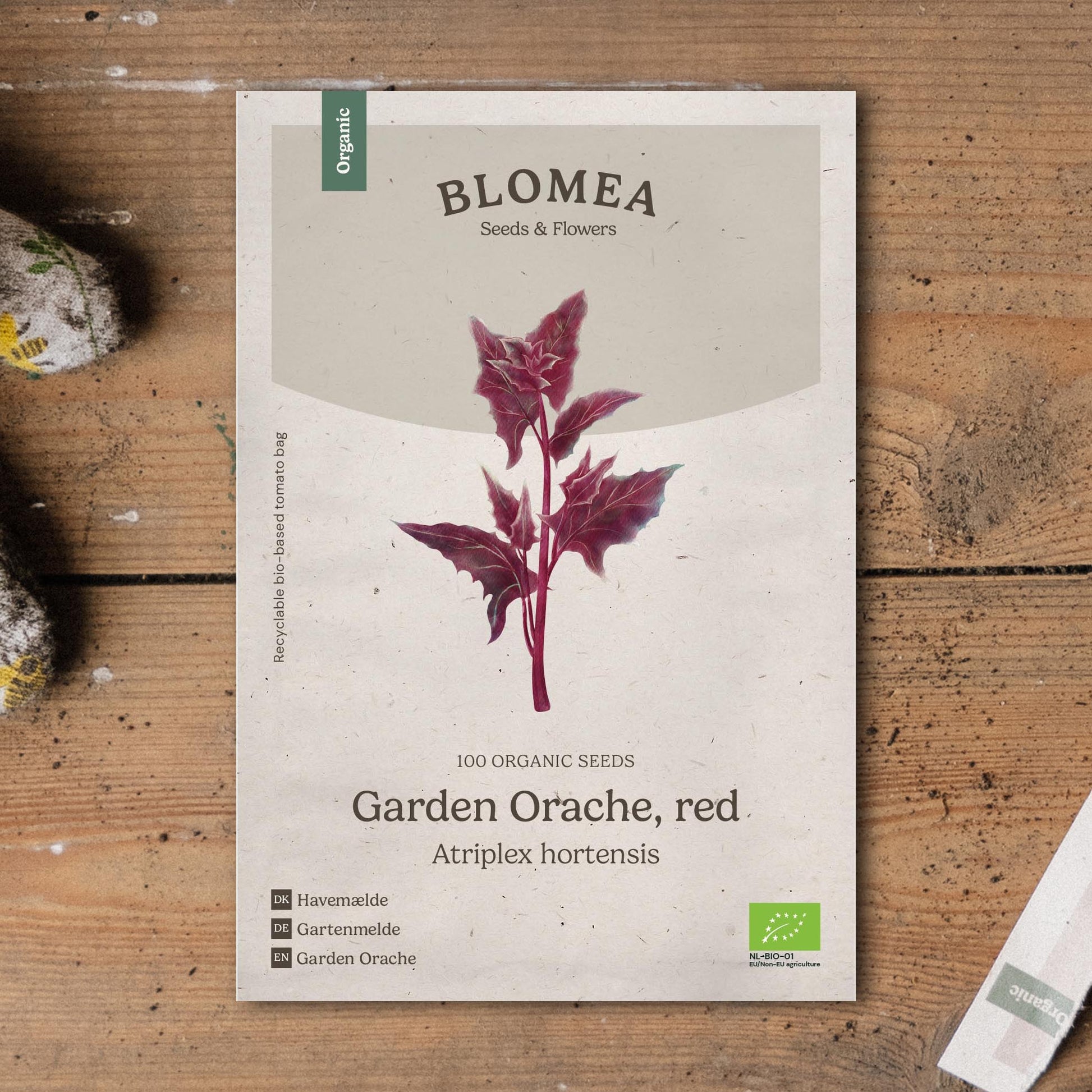 Rode melde zaden - 100 biologische zaden