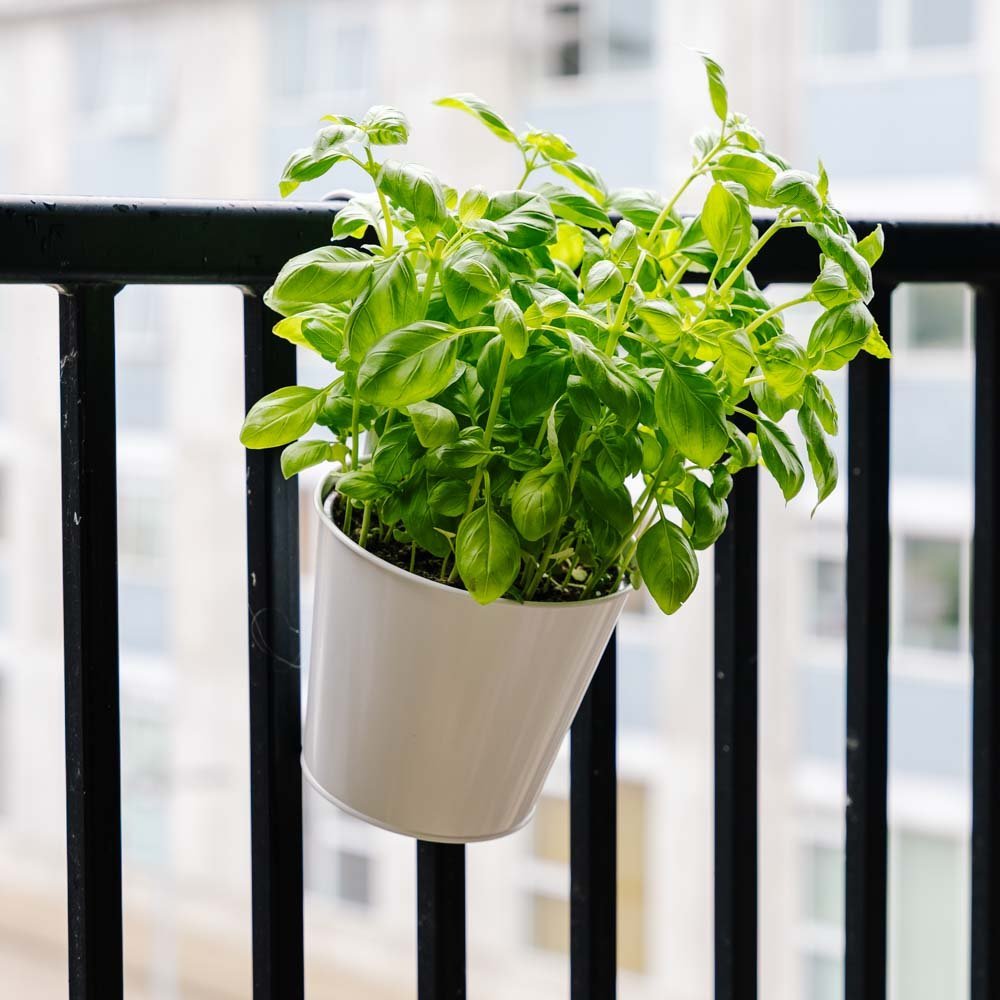 Ronde balkonpot, L: 24,5 cm B: 16,2 cm H: 25,2 cm