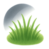 Schaduwgras