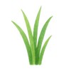 Merken