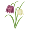 Voorjaarsbloemen