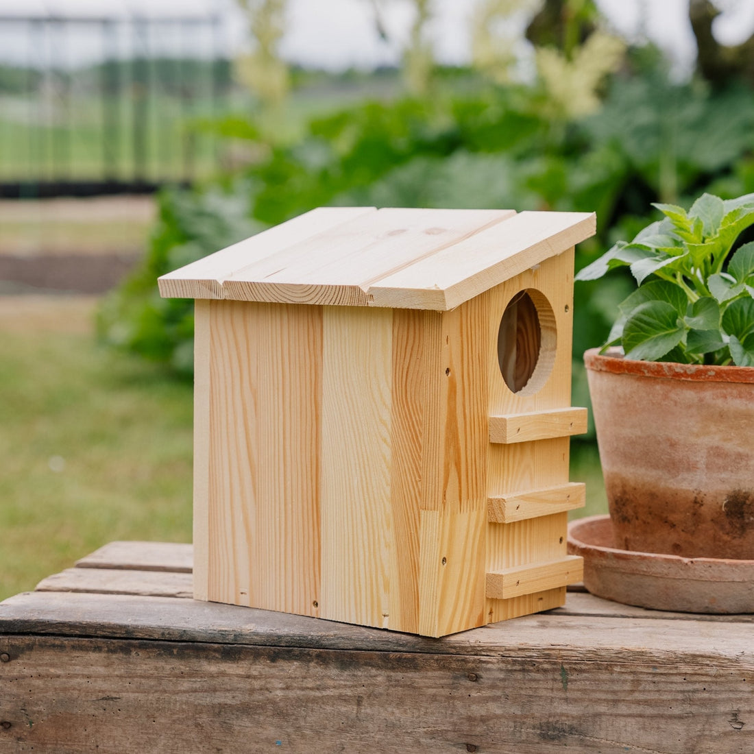 Voederhuis, eekhoorn, L: 19 cm B: 26 cm H: 29 cm