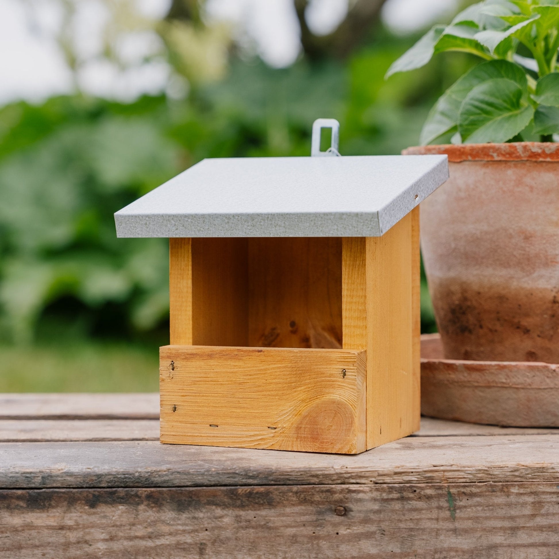 Voederhuis, Roodborstje, L: 13 cm B: 17 cm H: 20 cm